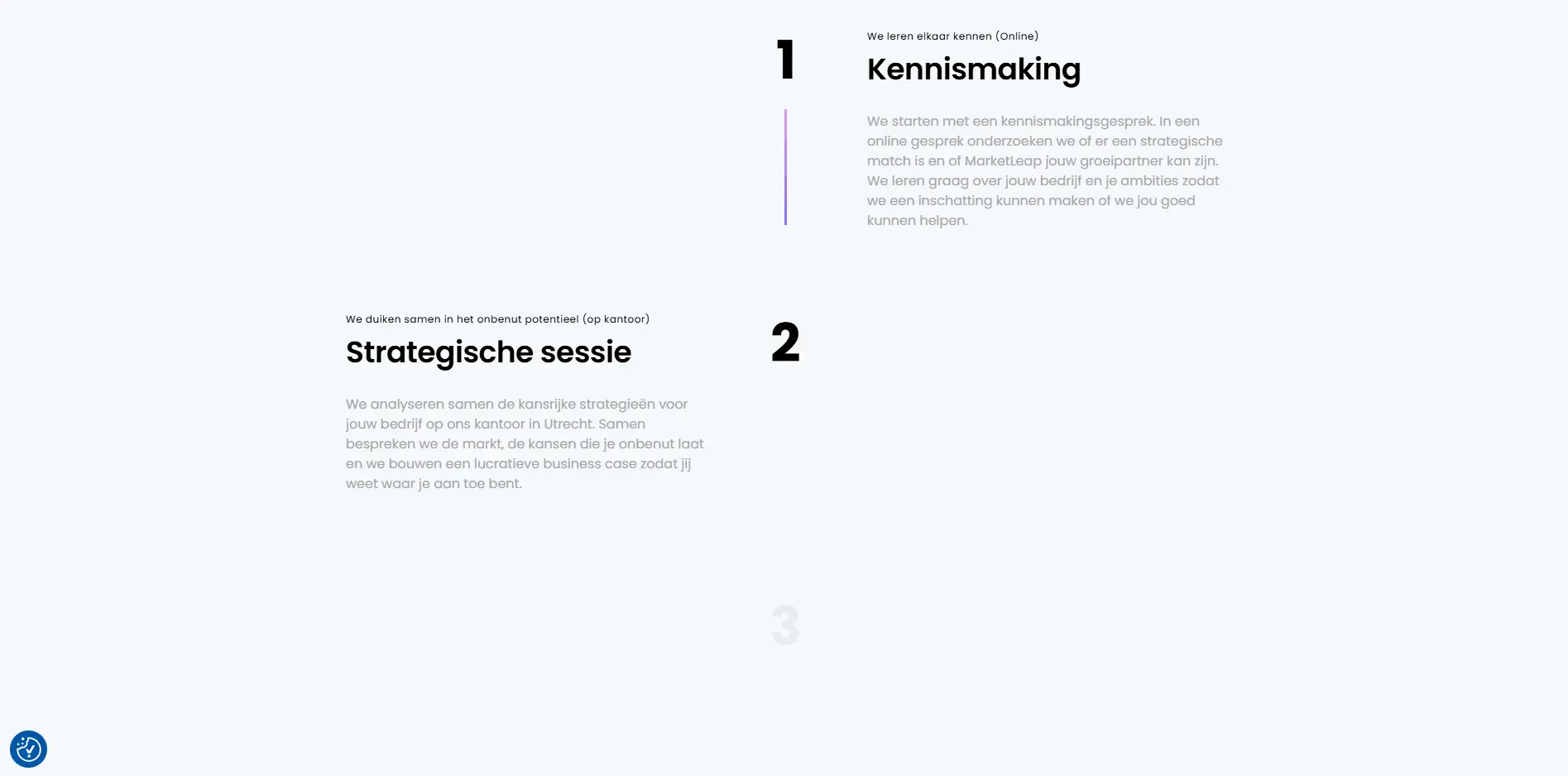 Marketleap Stappenplan