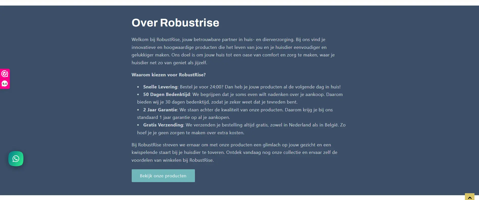 RobustRise about page before the redesign.